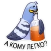 Michael the Pigeon (Part 2) 10