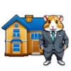 Hamsters exitosos💞1🇵🇪Clásica 5