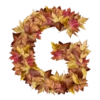 Autumnal 5