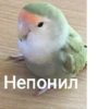 @yadovitiy_ray фавориты by 12