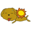 PAnLoVEr 11