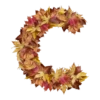 Autumnal 6