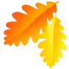 Autumn 🍁 11