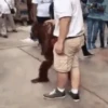 Maier Animated Monkeys 13