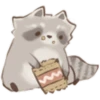 Cutie Raccoon 17