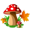 Autumn 🍁 16