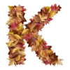 Autumnal 8
