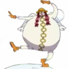 ONEPIECE 17