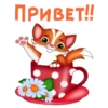 МYльт-приветствиR :: 13