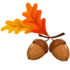 Autumn 🍁 17