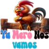 Buenos Pollos🐥 ᷓ֟⃝֍1🇲🇽Clásica 13
