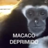 Maier Animated Monkeys 17