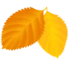 Autumn 🍁 18