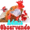 Buenos Pollos🐥 ᷓ֟⃝֍1🇲🇽Clásica 20