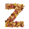 Autumnal 9