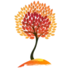 Autumn 🍁 23
