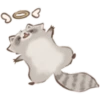 Cutie Raccoon 22