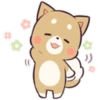 Pretty Puppy 6 27