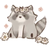 Cutie Raccoon 23