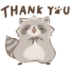 Cutie Raccoon 24