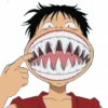 ONEPIECE 29
