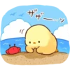 Soft and Cute Chicks Summer 6