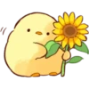 Soft and Cute Chicks Summer 8