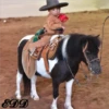 🚼Bebes Rancheros🇲🇽 6