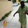 Hotdog Memes 6