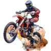 Champion Motorcycles ✺1🇻🇪 10