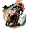 Champion Motorcycles ✺1🇻🇪 12
