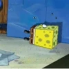 Sundjer bob 6