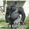 Gorilla Gym 8