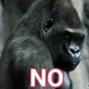Gorilla Gym 9
