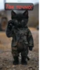 Военные котики. сделано:@GordoKotik 8