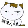 PAnLoVEr1 11