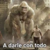 Gorilla Gym 11