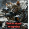 Военные котики. сделано:@GordoKotik 10