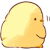 Soft and Cute Chicks Summer 15