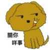 PAnLoVEr2 8