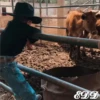 🚼Bebes Rancheros🇲🇽 14