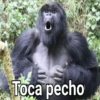 Gorilla Gym 12