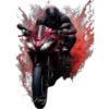Champion Motorcycles ✺1🇻🇪 16