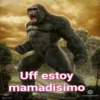 Gorilla Gym 14