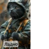 Военные котики. сделано:@GordoKotik 11