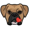 Penny 6