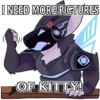 JF_Kitty 19