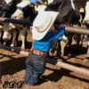 🚼Bebes Rancheros🇲🇽 20