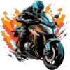 Champion Motorcycles ✺1🇻🇪 21