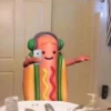 Hotdog Memes 14